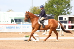 SBM_02636