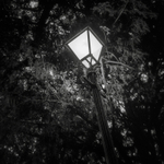 Lamp Light, Otley (square format)