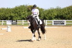 SBM_008246