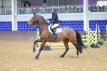 SBM_009383