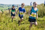 Tebay U9-19