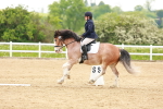 SBM_006458