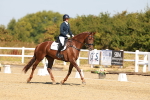SBM_017532