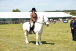 SBM_07085