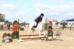 SBM_15197