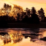 Landscape-009