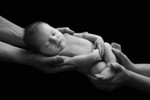 Newborns, siblings & parents portfolio