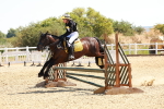 SBM_002616