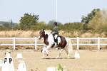 SBM_017463
