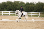 SBM_00481