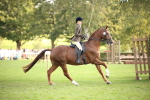 SBM_54256