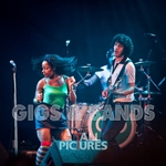 THE GO! TEAM portfolio