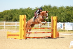 SBM_006646