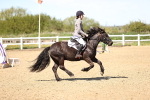 SBM_002097