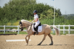 SBM_009628