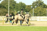 SBM_67613
