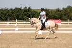 SBM_004952