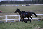 PtP 060222 01094