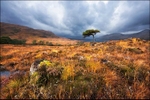 Autumn Storm