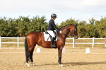 SBM_007613