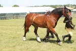 SBM_06983