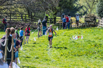 The Finish-521