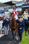120526-Race 4-Dandy Dinmont-8316