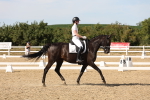 SBM_003885