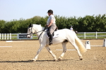 SBM_007468