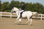 SBM_012593
