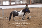 BPP_1210