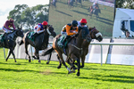 140926-Race 7-Forest Caper-7946