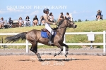 BPP_1699