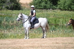 WJ7_8526
