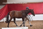 BPP_1428