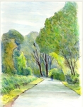 Martlesham Lane 3
