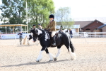 SBM_11374