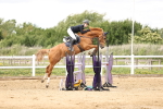 SBM_003252