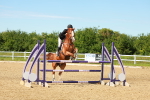 SBM_002648