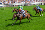 280625-Race 3-Squealer-0252