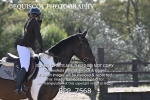 BPP_7568