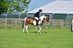 SBM_11419