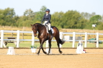 SBM_010593