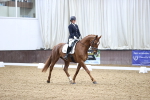 SBM_004264