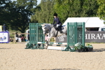 J62 - Clear Round 50cm portfolio