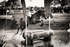BA040519 1202bw