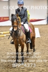 BPP_4373