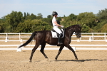 SBM_003886
