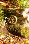 Wheel of St Catherine, Cerne Abbas, Dorset