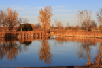 Fall reflections 2011